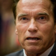 Image for article titled Governator Terminates Domestic Violence Funding • Income Gap Closes For 20-Something Women